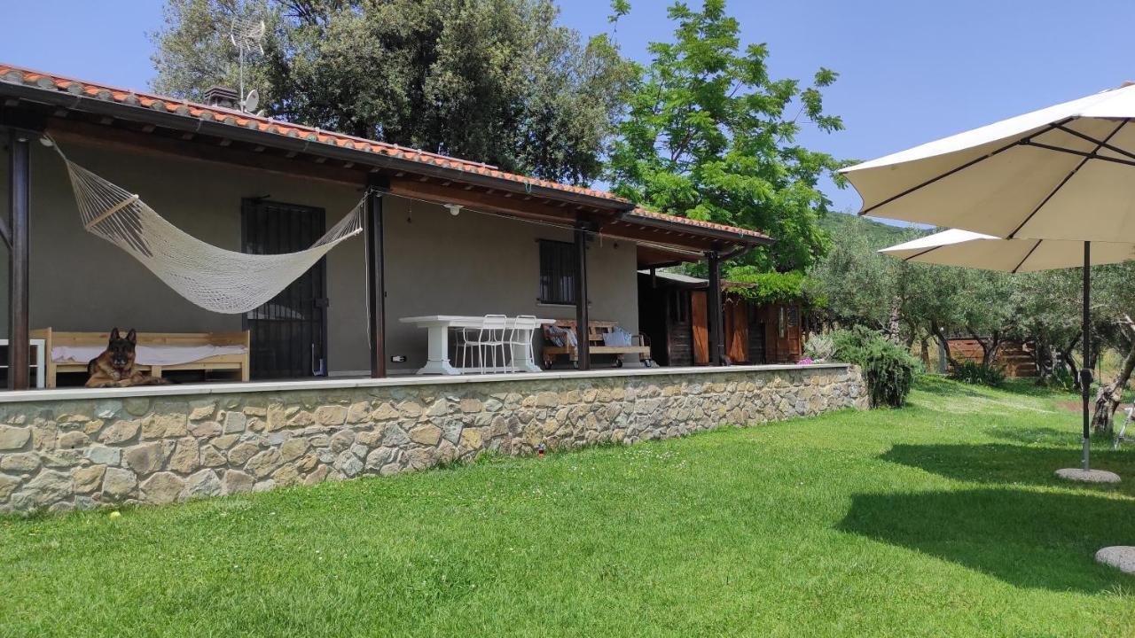 B&B La Casina Di Iris Arezzo Exterior photo